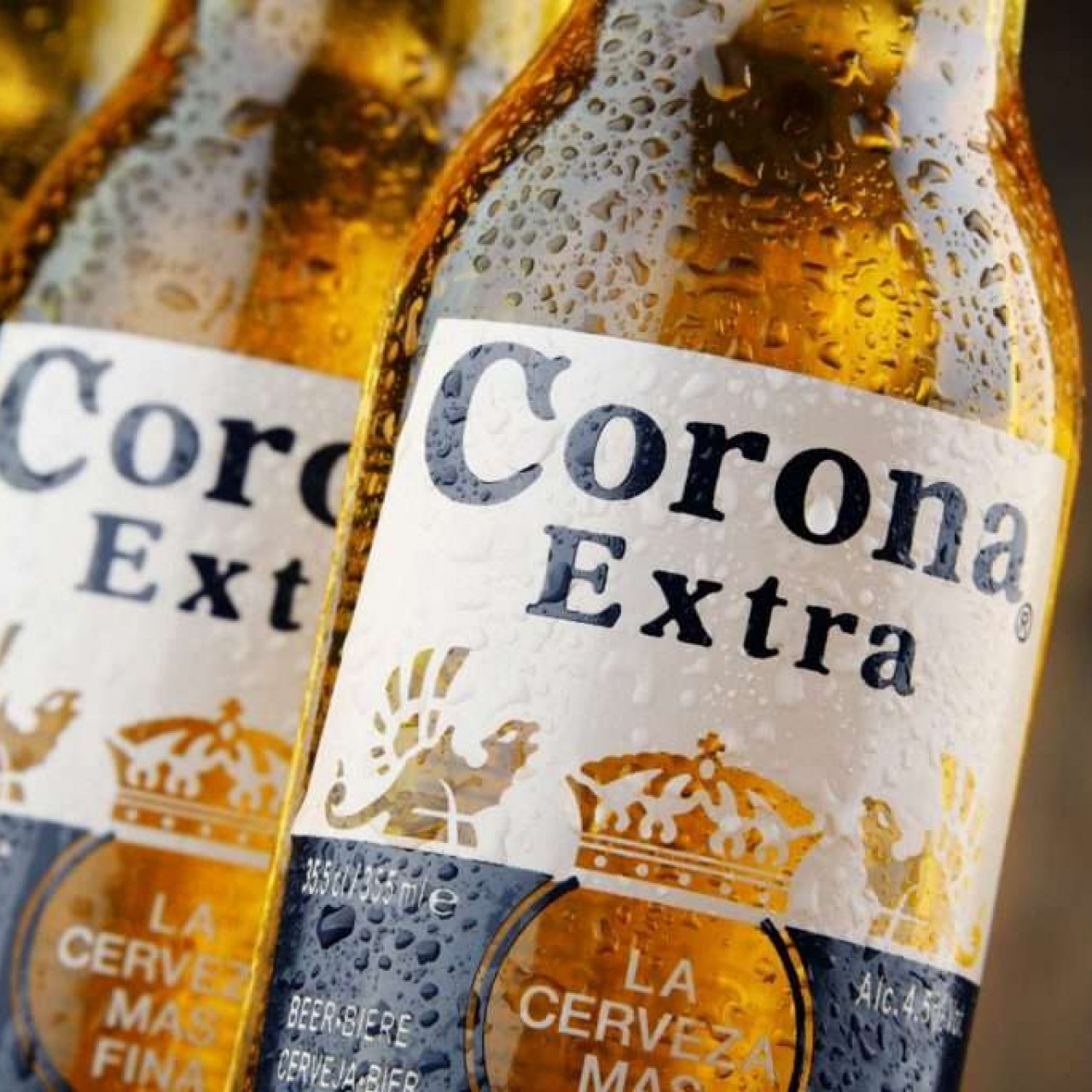 Пиво Corona перестанут выпускать из-за коронавируса - Inc. Russia