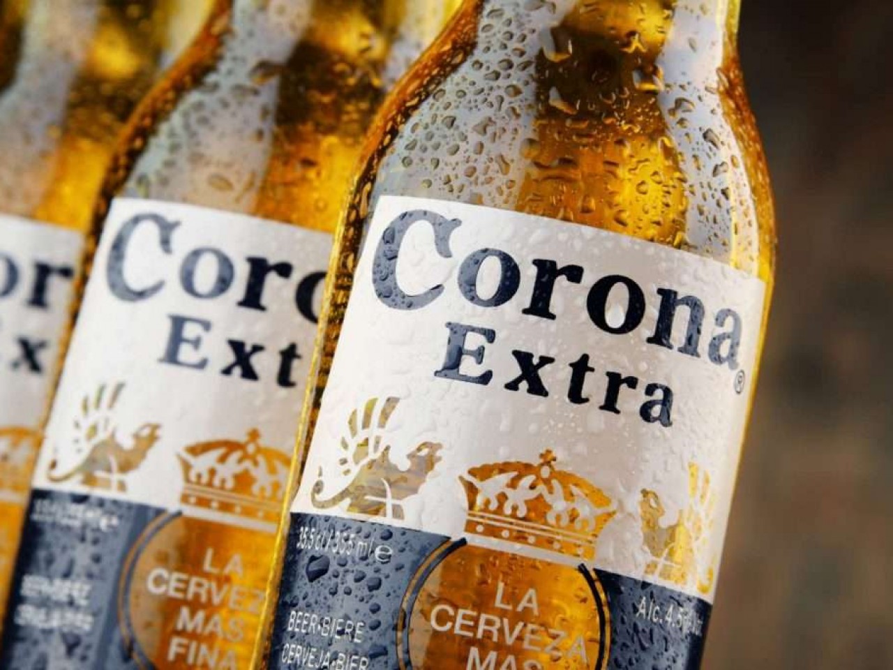 Пиво Corona перестанут выпускать из-за коронавируса - Inc. Russia